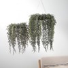 Sullivans Artificial Draping Cypress Hanging Christmas Wreath  Green-White  Indoor Christmas DÃƒÂ©cor - 3 of 3
