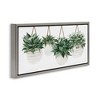 Stupell Industries Hanging Planters House Plants, 25" x 11" - 3 of 4