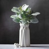 Sullivans Artificial Lambs Ear Bundle Plant 14" Green - 2 of 4
