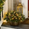 HGTV 18" Pre-lit Glittered Crestwood Spruce Mini Artificial Pot Filler with Clear Lights: Indoor/Outdoor, LED, Battery-Powered - 4 of 4