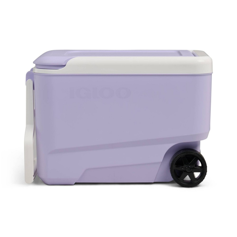 Igloo Wheelie 53 Cans/38qt Rolling Cooler - Lilac Breeze