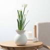 Sullivans Artificial Paperwhite With Bulb Stem 20" White - 3 of 4