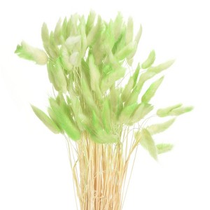 Unique Bargains Decorative Natural Dried Floral Bunny Tail Artificial Plants 120 Pcs - 1 of 4