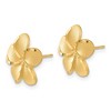 Black Bow Jewelry 14mm Diamond Cut Plumeria French Wire Earrings in 14k Yellow Gold - 2 of 4