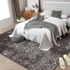 Washable Area Rug, Vintage Distressed Accent Rugs, Non-Slip Indoor Front Door Mat, Low-Pile Stain Resistant Kitchen Rug, Room Decor Carpet - 3 of 4