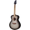Breedlove Discovery S Concert Satin European Spruce-African Mahogany HB Acoustic Guitar Ghost Burst - 3 of 4