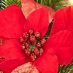 9ft pine needle pvc pe mixed christmas flower vine (1pc red vine)