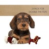 BEARPAW 2-Pack Crinkle Squeaky Dog Toys - Teddy Bear and Puppy - 3 of 4
