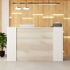 FUFU&GAGA Reception Desk with Lockable Door & Adjustable Shelves - 3 of 4