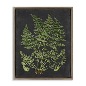 Stupell Industries Scientific Botanical Fern Drawing Floating Frame Canvas Art - 1 of 4