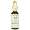 Bach Original Flower Remedies, Olive, 0.35 fl oz (10 ml) - 3 of 4