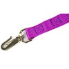 Country Brook Petz Deluxe Nylon Dog Leash, 6 Foot - 4 of 4