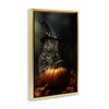 Stupell Industries Bewitching Gaze of Owl Floating Frame Canvas Art - 2 of 4