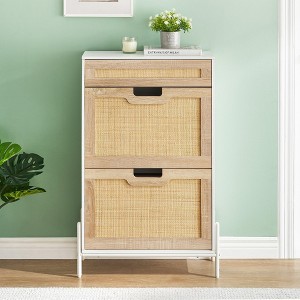 Rattan Shoe Cabinet for Entryway, 2-Flip Drawer Storage Organizer with Adjustable Shelf, Narrow Freestanding Hidden Shoe Rack for Home Storage - 1 of 4
