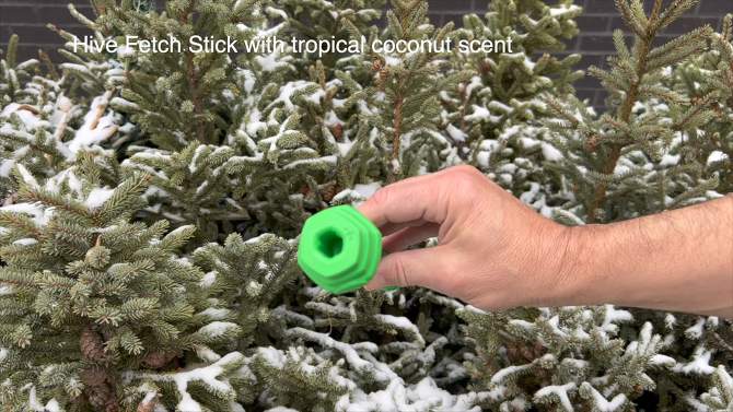 Project Hive Pet Company Tropical Coconut Fetch Stick Interactive Dog Toy - Green, 2 of 9, play video
