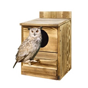 Artloge Owl House Natural Wooden Owl Box Outdoor Backyard Hanging Houses with Perch Suitable for Barn Owl Nesting - 1 of 4