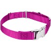Country Brook Petz Heavyduty Nylon Martingale with Premium Buckle - 4 of 4