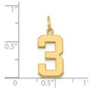 Black Bow Jewelry 14k Yellow Gold, Athletic Collection Medium Polished Number 3 Pendant - 4 of 4