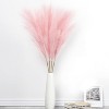 4 PCs Faux Pampas Grass Decor, 44 Inch Tall Fluffy Artificial Fake Flower Boho Decor, Bulrush Grass for Vase Filler, Farmhouse Home Wedding Decor - 3 of 4