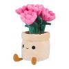 Honeymaru Azalea Succulent Plant Plush - 2 of 4