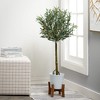 Sullivans Artificial Olive Tree 41"H; Green - 3 of 4