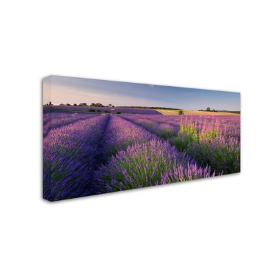Trademark Fine Art -Adam Burton 'Pink & Purple' Canvas Art