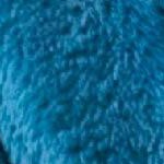 teal blue