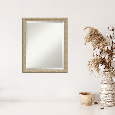 Paris Champagne Bronze Brushed Framed Wall Mirror