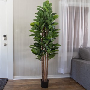 Artificial Rubber Plant - 70-Inch Faux Tree with Natural-Feel Leaves - Realistic Potted Indoor Plant for Office or Home Decor by Pure Garden (Green) - 1 of 4