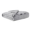 Sapphtopaz Reversible Plush to Microfiber Blanket, Temperature-Regulating Blanket, HeiQ Smart Temperature Down Alternative Blanket, Throw Blanket - 4 of 4