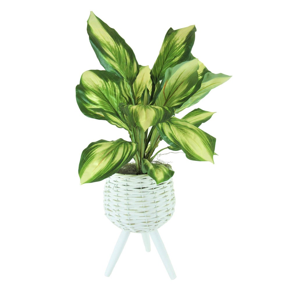 28" x 14" Artificial Hosta Plant in Basket Stand White - LCG Florals: Faux Floor Plant, Indoor Polyester Decor