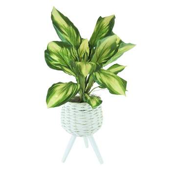 28" x 14" Artificial Hosta Plant in Basket Stand White - LCG Florals