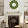 Boxwood Wreath 20inch Outdoor Indoor All Seasons Decor Green Durable Long Lasting Easy to Hang - 4 of 4
