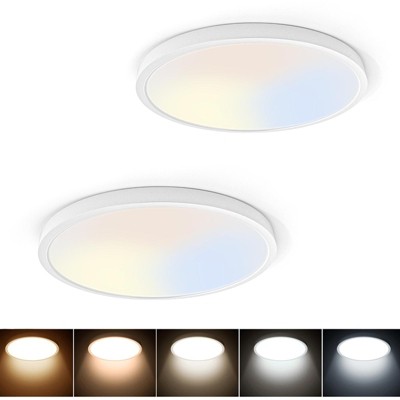 TALOYA 2-Pack 10 Inch LED Flush Mount Ceiling Light White, 5-in-1 CCT Selectable,Ultra-Slim Surface Mounted Lighting Fixture for Basement Porch