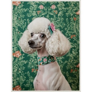 Amanti Art The Floral Adorned Poodle by Mowzu  Framed Canvas Wall Art - 1 of 4