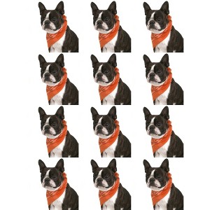 12 Pack Paisley Triangle Polyester Dog Bandanas for Daily Wear Outings - 1 of 4