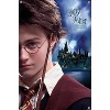 Trends International Harry Potter and the Prisoner of Azkaban - Wand One Sheet Unframed Wall Poster Prints - 4 of 4