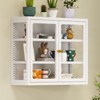 Bekrvio Wall Mounted Display Cabinet with Glass Doors, Adjustable Shelves, Steel Frame Storage Cabinet for Bathroom, Kitchen or Living Room - 2 of 4