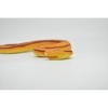 Collectible Wildlife Gifts | Snake, Rat Snake Toy, Orange, Red Stripes, Coied, Rubber Reptile,  Hand Painted,  Model, Gift,   12"   F3584 B492 - 4 of 4