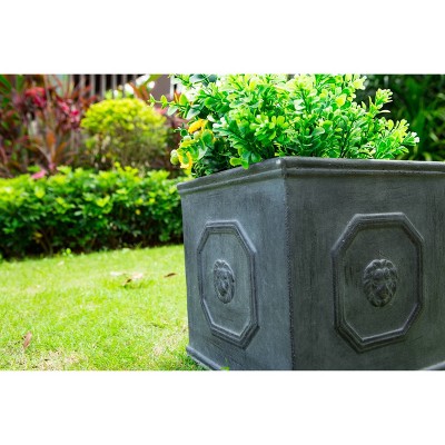 Antique Gray 14" Square Concrete Lion Head Planter
