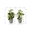 GlasFlength Artificial Plants Small Fake Plants Artificial Grass Plants Faux Plants for Indoor Home Table Decoration, Green, 10"*9"*14" - 4 of 4