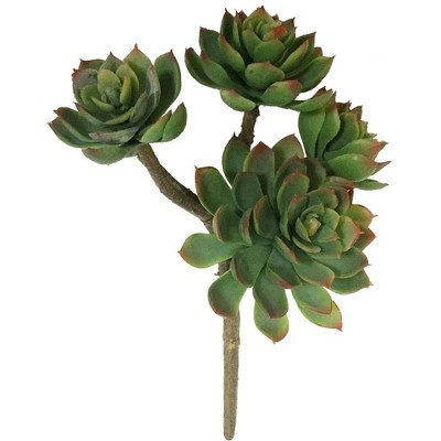 Floral Home 12" Echeveria Lifelike Succulent - 12-Piece