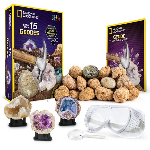 Rock Collection for Kids with Display Case Geology Science Stem