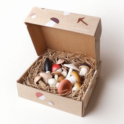 ACEPANO Forest Mushroom Box Set