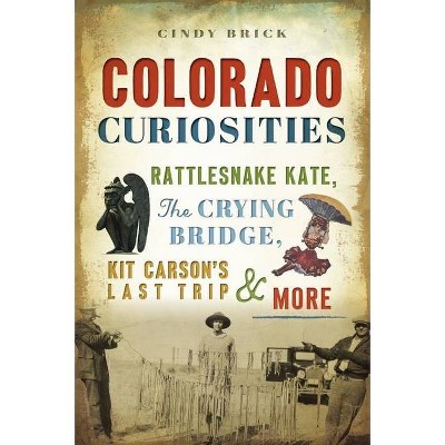 Colorado Curiosities - by Cindy Brick (Paperback)