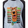 Scooby Doo Boys' PJS Ruh-Roh! Pajamas Raglan Shirt and Pants Sleep Set - 2 of 4