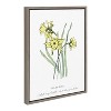 Kate and Laurel Sylvie Spring Daffodil Framed Canvas by Statement Goods, 18x24, Gray - 2 of 4