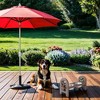 Mewoofun Adjustable Pet Bowl for Feeding, Travel-Ready Design - 4 of 4