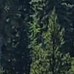 romano silver narrow