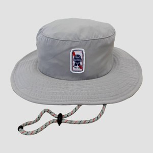 Men's Pabst Blue Ribbon Bonnie Hat - Gray : Target